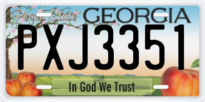 GA license plate PXJ3351