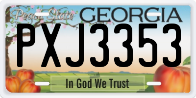 GA license plate PXJ3353