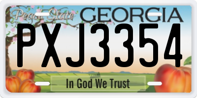 GA license plate PXJ3354