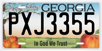 GA license plate PXJ3355
