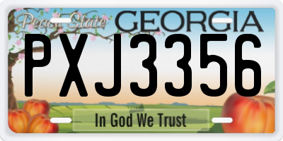 GA license plate PXJ3356