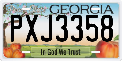 GA license plate PXJ3358