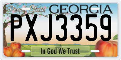 GA license plate PXJ3359