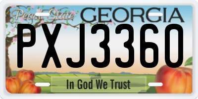 GA license plate PXJ3360