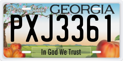 GA license plate PXJ3361