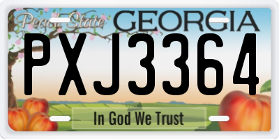 GA license plate PXJ3364