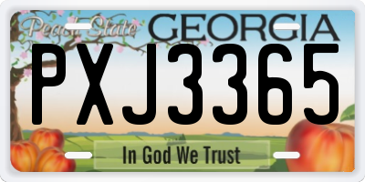 GA license plate PXJ3365