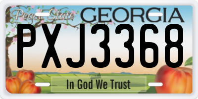 GA license plate PXJ3368