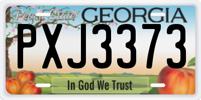 GA license plate PXJ3373