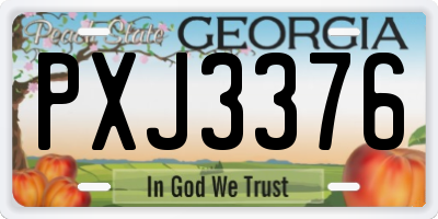 GA license plate PXJ3376