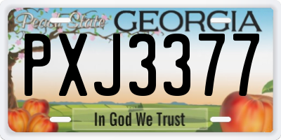 GA license plate PXJ3377