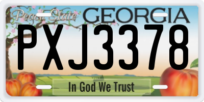 GA license plate PXJ3378
