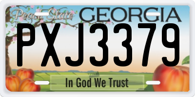 GA license plate PXJ3379
