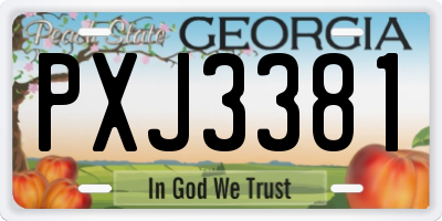 GA license plate PXJ3381