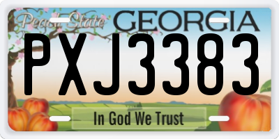 GA license plate PXJ3383