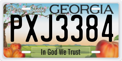 GA license plate PXJ3384