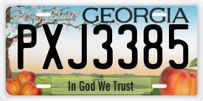 GA license plate PXJ3385