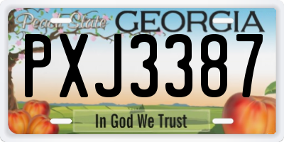 GA license plate PXJ3387