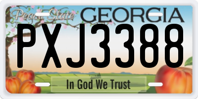 GA license plate PXJ3388