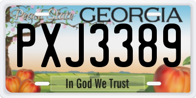 GA license plate PXJ3389