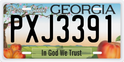 GA license plate PXJ3391