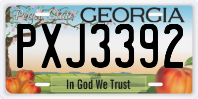 GA license plate PXJ3392