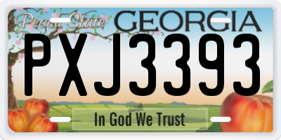 GA license plate PXJ3393