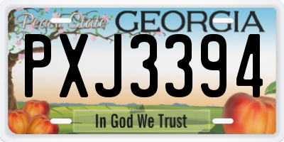 GA license plate PXJ3394