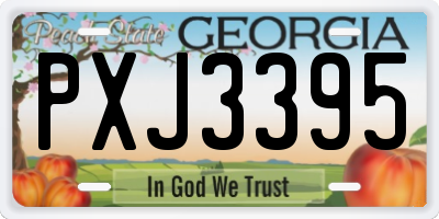 GA license plate PXJ3395