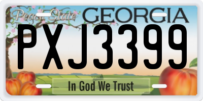 GA license plate PXJ3399
