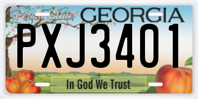 GA license plate PXJ3401