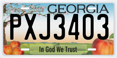 GA license plate PXJ3403