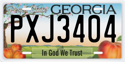 GA license plate PXJ3404