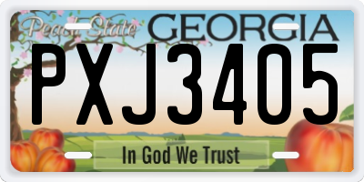 GA license plate PXJ3405