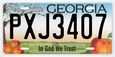 GA license plate PXJ3407