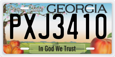 GA license plate PXJ3410