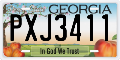 GA license plate PXJ3411