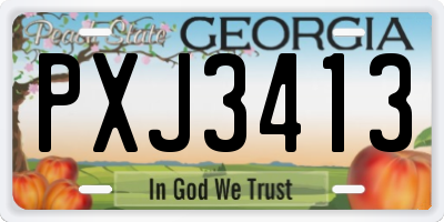 GA license plate PXJ3413
