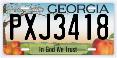 GA license plate PXJ3418