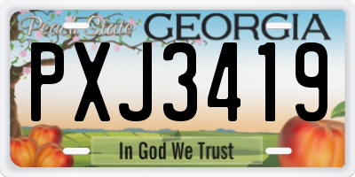 GA license plate PXJ3419