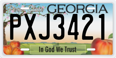 GA license plate PXJ3421