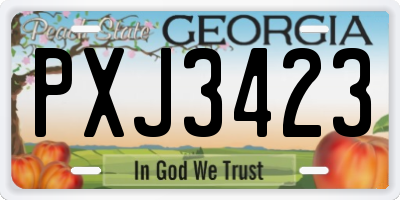 GA license plate PXJ3423