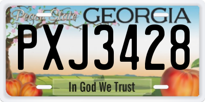 GA license plate PXJ3428
