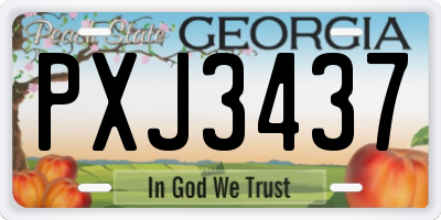 GA license plate PXJ3437