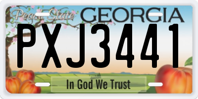 GA license plate PXJ3441