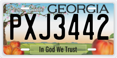GA license plate PXJ3442