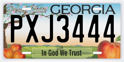 GA license plate PXJ3444