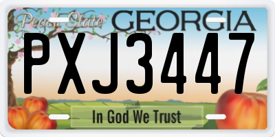 GA license plate PXJ3447