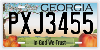 GA license plate PXJ3455