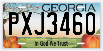 GA license plate PXJ3460